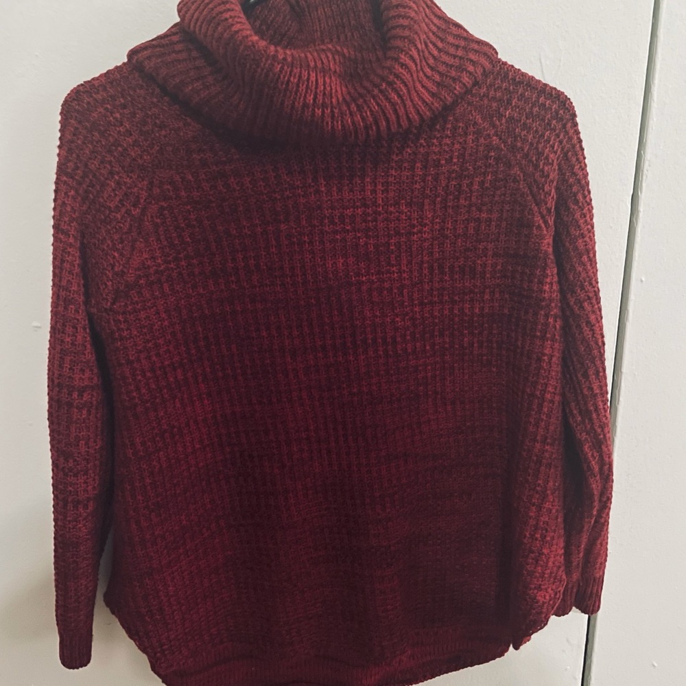 Red turtle neck sweater